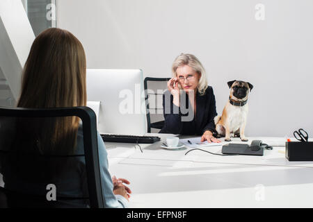 Female manager with dog interviewing woman Stock Photo