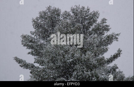 Sicily, Italy. 09th Feb, 2015. Italy Weather: Cold wave in Sicily. Snow falls at low altitude in Palermo and in the countries on the slopes of Mount Etna. Several problems for motorists, the means Anas are working to free up the asphalt from the snow. Credit:  Wead/Alamy Live News Stock Photo