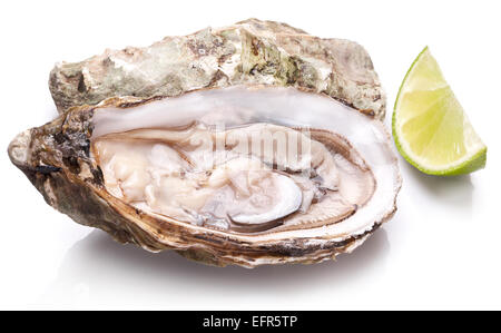 Raw oyster and lemon isolated on a whte background. Stock Photo