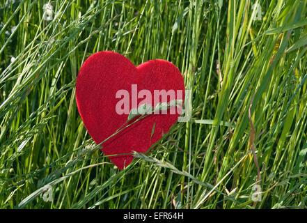 red heart on green grass Stock Photo