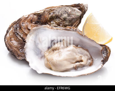 Raw oyster and lemon isolated on a whte background. Stock Photo