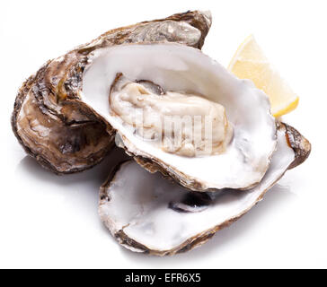 Raw oyster on a whte background. Stock Photo