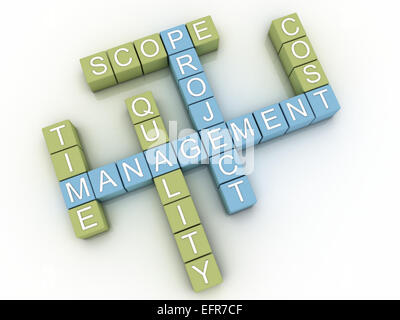 3d image project management  issues concept word cloud background Stock Photo