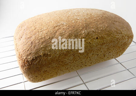 Loaf of Freshly Baked Wholemeal Bread on a Wire Cooling Rack Stock Photo