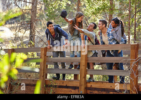 Five young adult friends fooling around on wooden bridge in forest, Los Angeles, California, USA Stock Photo