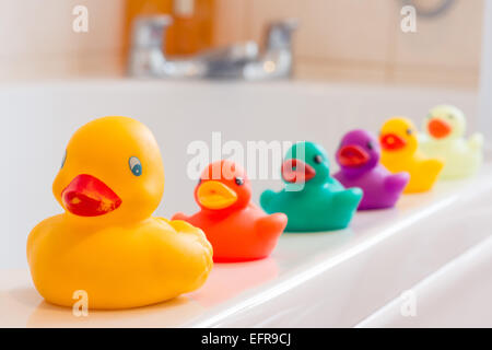A cute yellow rubber duck at the head of a row of colourful plastic ducks lined up on the edge of a bath in a bathroom Stock Photo