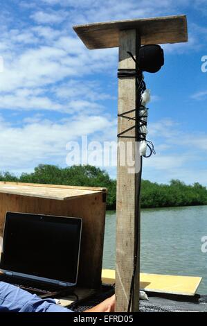 GPS -  Monitoring Frigate bird  ' Isla de los Pajaros ' -  PUERTO PIZARRO. Department of Tumbes .PERU Stock Photo