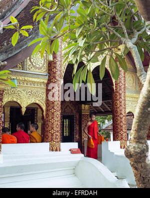 Young buddhist monks at a temple, Luang Prabang, Laos. Stock Photo