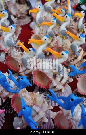 Seashell - Port in PUERTO PIZARRO -Deparment of Tumbes - TUMBES Stock ...