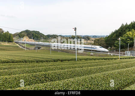 Tea plantations and Shinkansen, Kanagawa, Japan Stock Photo