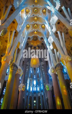 Barcelona Spain Sagrada Familia church interior architecture Stock Photo