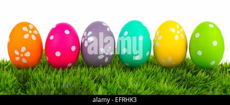 Row of Easter eggs on grass with a white background Stock Photo