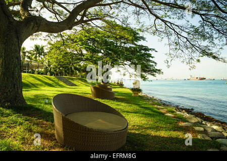 relax in round daybed under big tree by  seaside with warm light Stock Photo