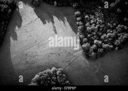 Aerial view of sunlight and shadows over rural fields, Oxfordshire, England, black and white Stock Photo