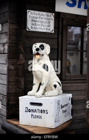 A donations box at the Many Tears Animal Rescue centre near Llanelli, S. Wales UK Stock Photo