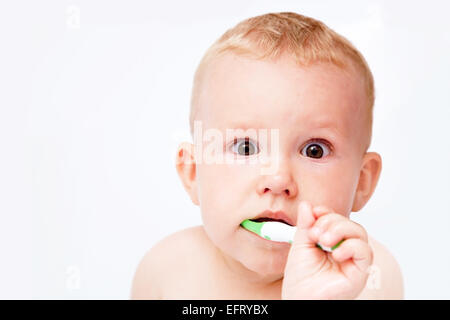 Cute baby brushing his teeth on white Stock Photo