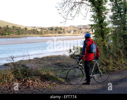 Cyclist on the Camel Trail, stopped to look at the view of the Camel Estuary near Wadebridge, Cornwall, UK Stock Photo