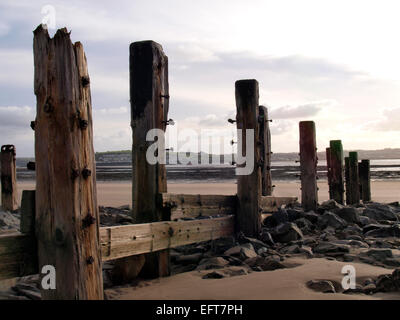 Remains of old groynes, Saunton Sands, Devon, UK Stock Photo