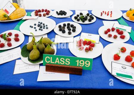 Plates of various soft fruit and berries on a table at a horticultural competition Stock Photo