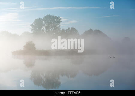 A calm morning at the river with geese swimming by. Morning fog is hanging over the landscape with a clear blue sky Stock Photo