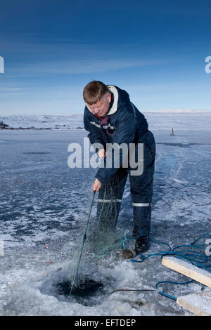 Ice fishing for arctic char on Lake Thingvellir, Thingvellir National Park, Iceland Stock Photo