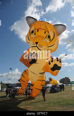 a tiiger kite about to launch over the seafront at Southsea, Hants at the annual Kite Festival. Pic Mike Walker, Mike Walker Pic Stock Photo