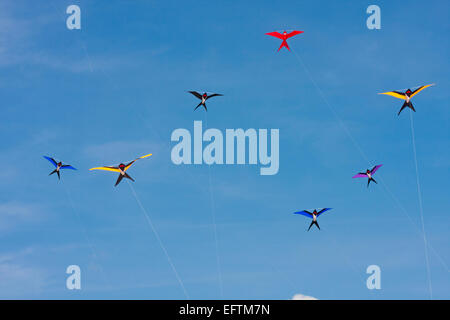 bird shaped kites flying in the blue sky at Weymouth Kite Festival, Dorset UK in May Stock Photo