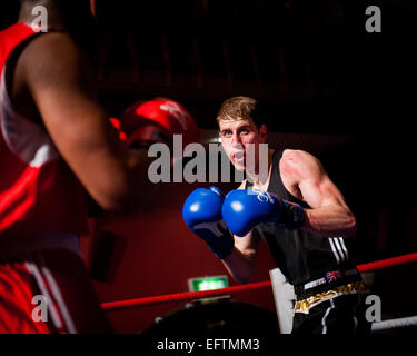 boxers in boxing ring Stock Photo