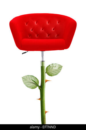 Red Chair with rose stem and thorn, clipping path and alpha channel included. Stock Photo