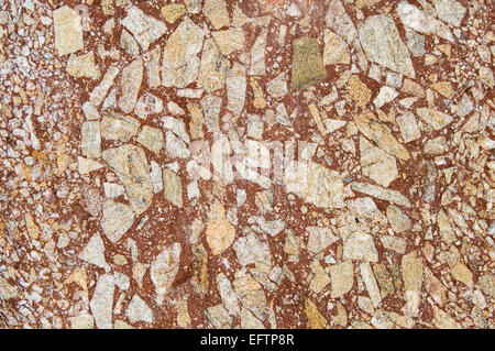 Close up of conglomerate rock, Brora, Sutherland, Scotland, UK. Stock Photo