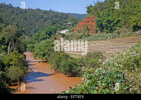 Terraced rice paddy fields along river in the Tachileik District, Shan State, Myanmar / Burma Stock Photo