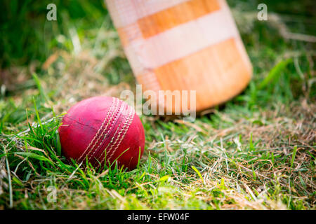 Red cricket ball and bat on grass, close up Stock Photo