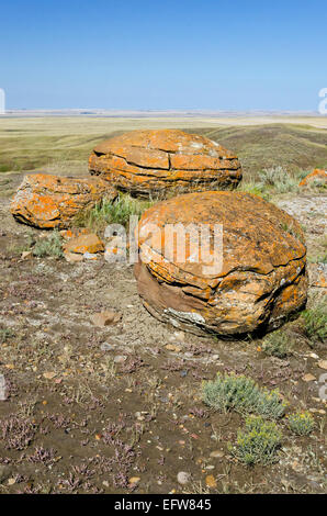 Three spherical sandstone concretions at Red Rock Coulee Provincial Park, near Medicine Hat, in southern Alberta, Canada. Stock Photo