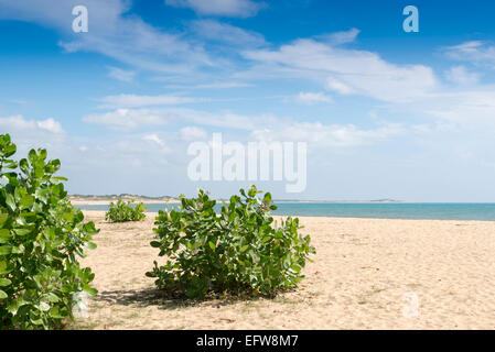 The coast of Yala National Park, Southern Province, Sri Lanka. Stock Photo