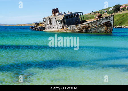 Abandoned old wooden minesweeper at New Island in the Falklands Stock Photo