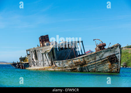 Abandoned old wooden minesweeper at New Island in the Falklands Stock Photo