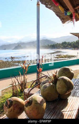 Coconut and tropical beach of Palawan, Philippines Stock Photo