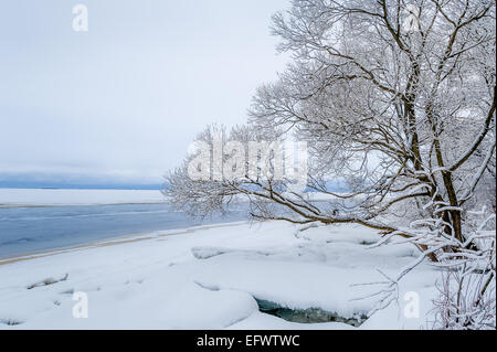 Frozen lake in snowy forest Stock Photo - Alamy