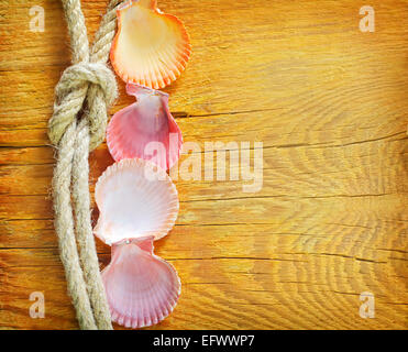 shells on wooden background Stock Photo
