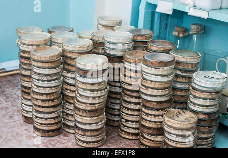 Stacks of Petri dishes with bacteria growing in them Stock Photo