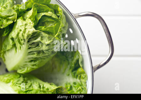 the fresh lettuce in colander Stock Photo