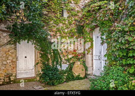 Courtyard Garden In Le Castellet Provence France Stock Photo