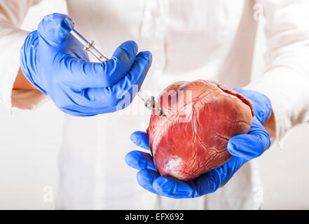 heart disease and vessels, isolated white background Stock Photo