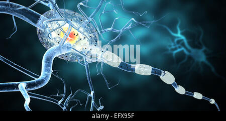 Nerve cells, concept for Neurologic Diseases, tumors and brain surgery. Stock Photo