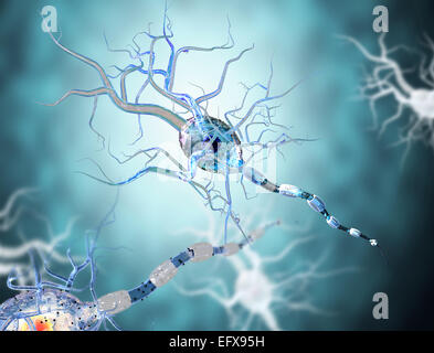 Nerve cells, concept for Neurologic Diseases, tumors and brain surgery. Stock Photo