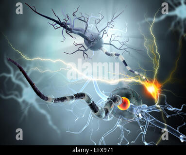 Nerve cells, concept for Neurologic Diseases, tumors and brain surgery. Stock Photo