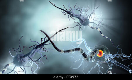 Nerve cells, concept for Neurologic Diseases, tumors and brain surgery. Stock Photo