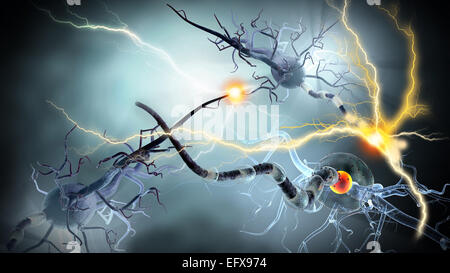 Nerve cells, concept for Neurologic Diseases, tumors and brain surgery. Stock Photo