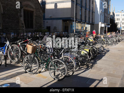 Winter sun at Peas Hill Cambridge Cambridgeshire England Stock Photo