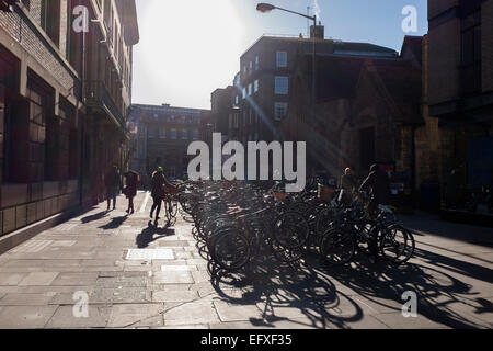 Winter sun at Peas Hill Cambridge Cambridgeshire England Stock Photo